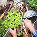 Oak Leaf 10-Pack Seed Starter Tray, 120 Cells Seedling Starter Trays Kit Greenhouse Supplies Seed Trays with Dome and Base, Labels and Hand Tool Kit, 12 Cells per Tray