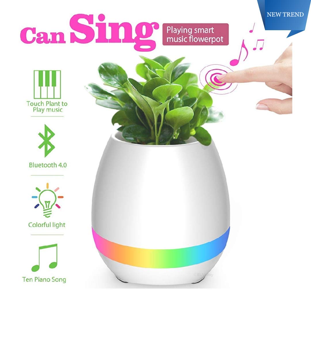 musical flower pot