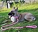 lynxking Dog Leash Slip Lead 5 6 8 FT Dog Training Leash Strong Heavy Duty Braided No Pull Training Lead Leashes for Small Medium Large Dogs