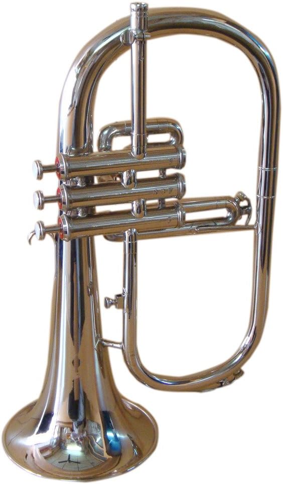 OSWAL Bb Flat Silver Nickel Flugel Horn With Free Hard Case+Mouthpiece: Musical Instruments