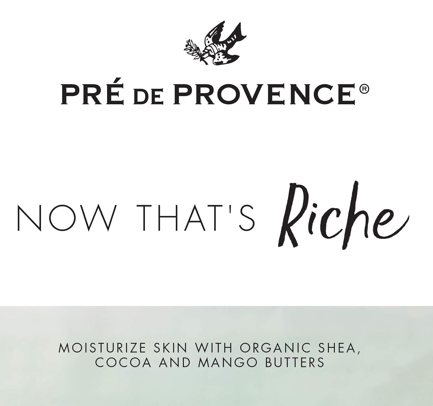 Pre de Provence Riche Collection Body Butter, Coconut, 200 ml, 1 Count: Beauty