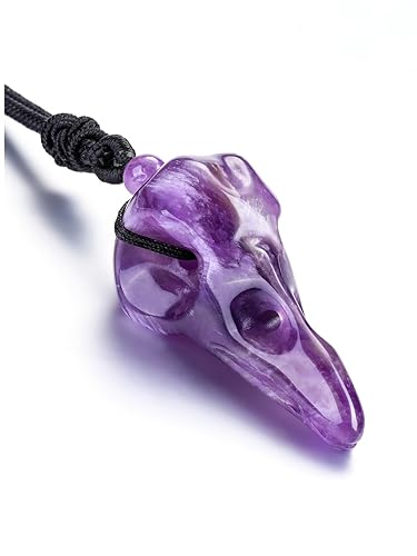 Top Plaza Healing Crystal Stone Necklace Raven Skull Pendant Necklace for  Men Carved Gemstone Adjustable Black Cord Necklace Jewelry Christmas Gifts 