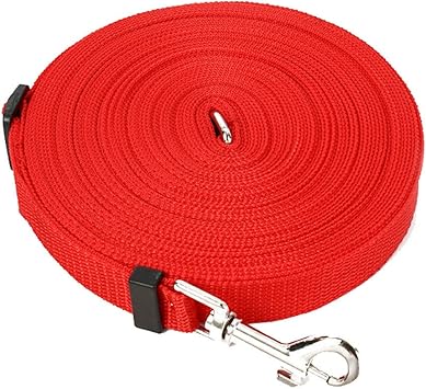 support animals on planes