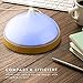 LINKYO Essential Oil Diffuser - Ultrasonic Aromatherapy Diffuser, 100ml