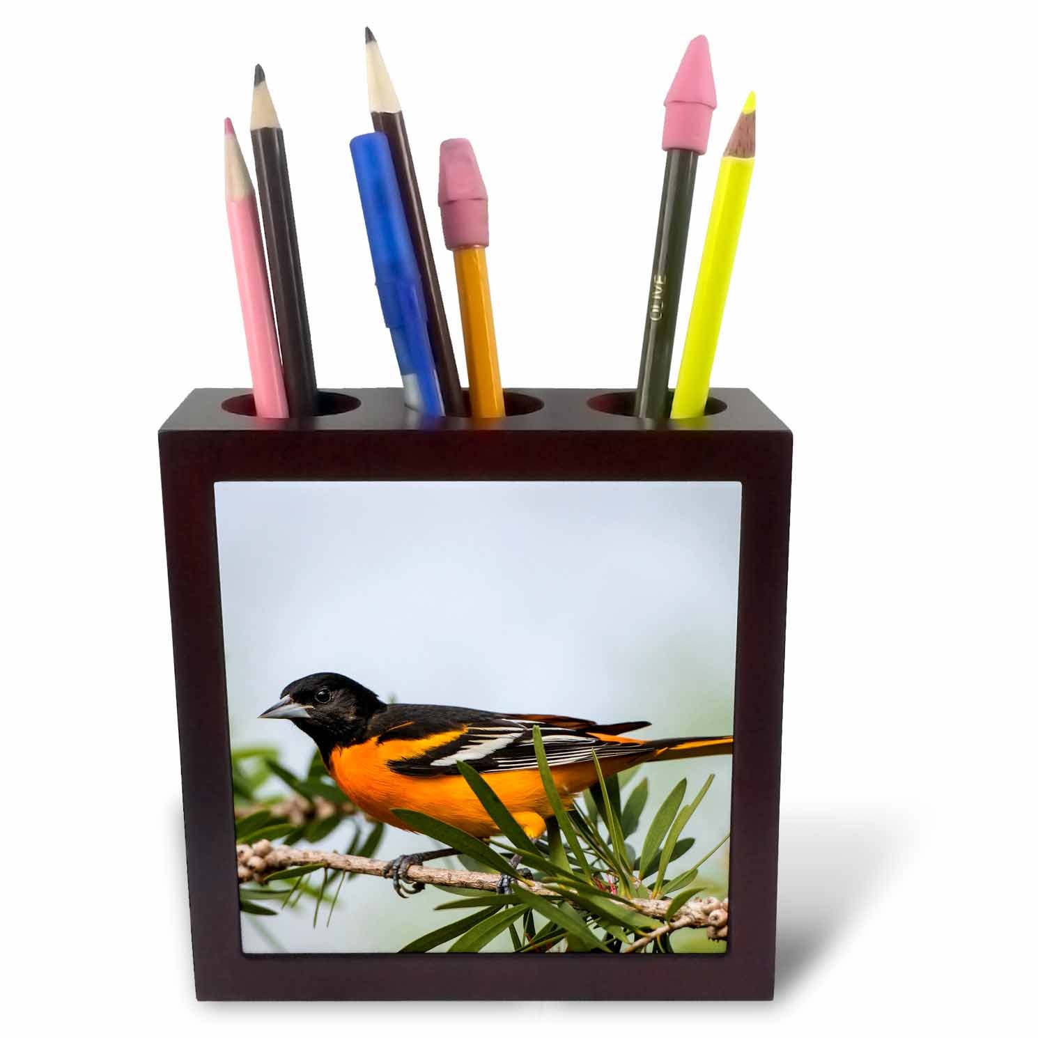 3dRose ph_251454_1 5-Inch Baltimore Oriole Male Perched Tile Pen Holder