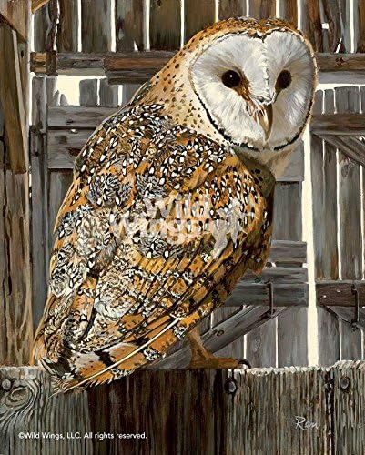Amazon Com Wild Wings Midnight Watch Barn Owl Signed Print