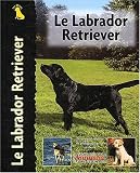 le labrador retriever by 