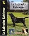 le labrador retriever by 