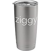 Lower Case Ziggy Stainless Steel Insulated Tumbler
