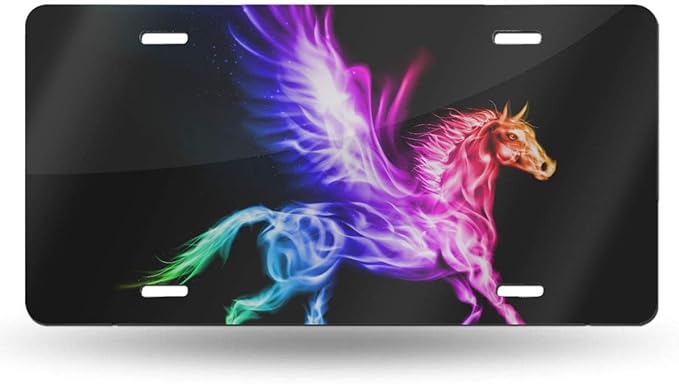Amazon 4 Hole Custom Customizable License Plate Vanity Tag