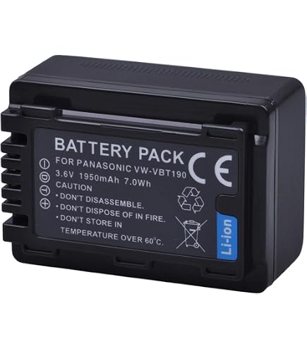 Amazon.com : Panasonic VW-VBT380 Lithium-Ion Battery Pack (Black