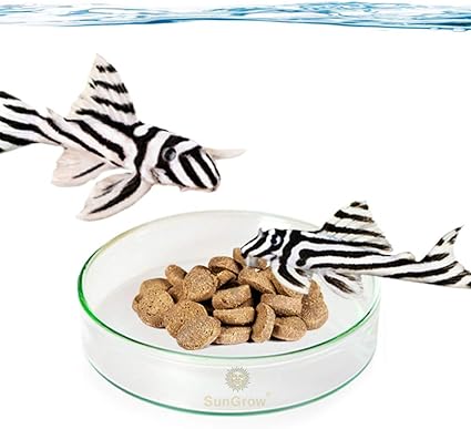Amazon Com Sungrow Glass Bottom Feeder Dish 2 5 Inches Wide