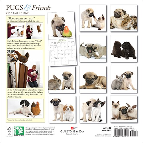 Pugs-Friends-2017-Calendar Pugs-Friends-2017-Calendar