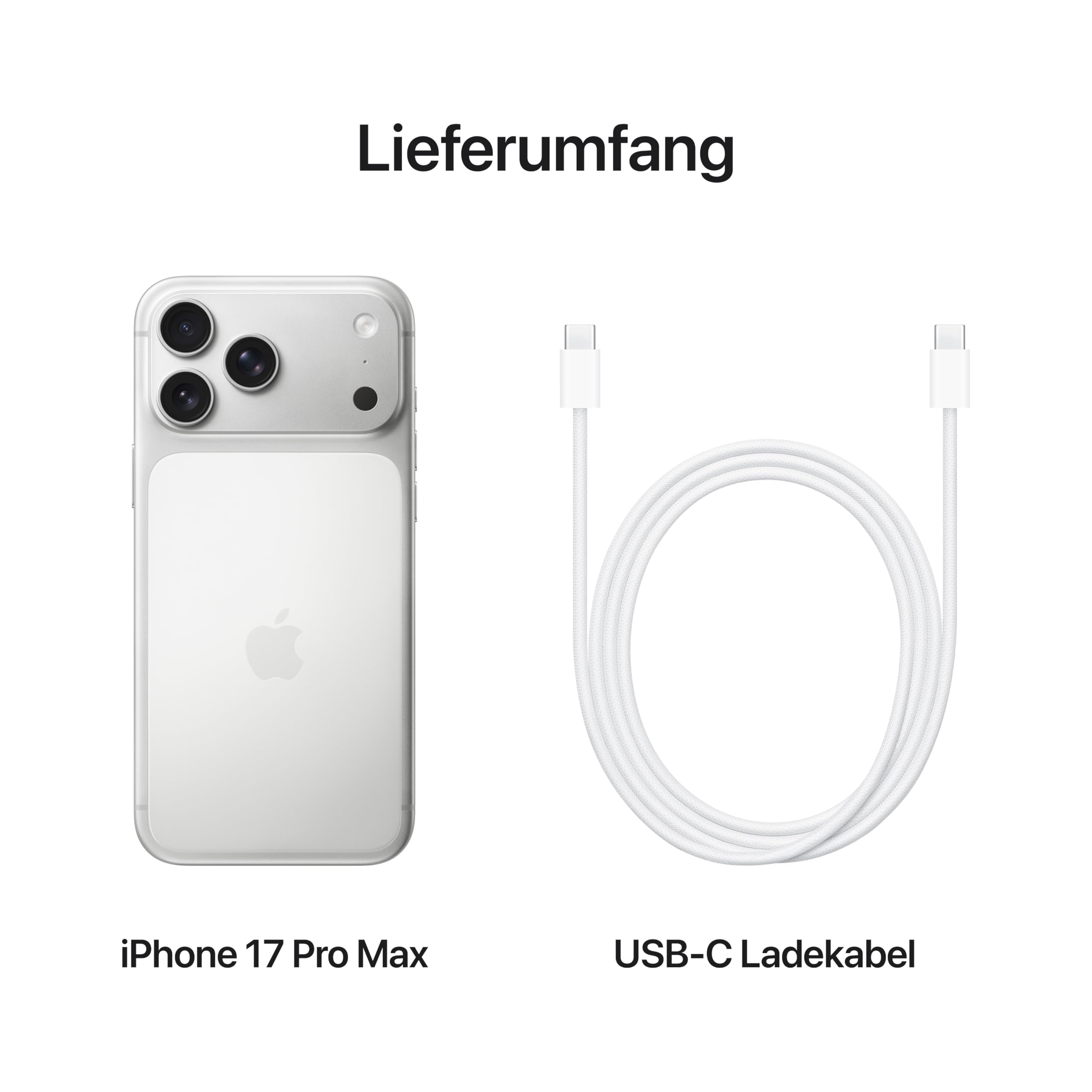 Apple iPhone 17 Pro Max 256 GB: 6,9" Display mit ProMotion, A19 Pro Chip, beste Batterielaufzeit, die es je in einem iPhone gab, Pro Fusion Kamera-System, Center Stage Frontkamera; Silber 6