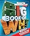 Big Book of WHY Sports (Sports Illustrated Kids Big Books)