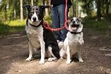 Kerbl Quickloader Elastic Strap 110cm Pack of 2 UV-Resistant Flexible Cargo Tie view 9