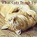 What Cats Teach Us 2016 Calendar