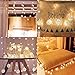 Globe Rattan Ball String Lights, Goodia 13.8feet 40 LED Warm White Fairy Light for Indoor,Bedroom,Curtain,Patio,Lawn,Landscape,Fairy Garden,Home,Wedding,Holiday,Christmas Tree,Party