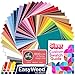 Siser EasyWeed Heat Transfer Shirt Vinyl Deluxe Easyweed Color Bundle, 12 Inch x 15 Inch with Design Card & Custom Swatch Book by Swing Design