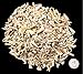 One Pound of Genuine Shark Teeth - Fossilized Moroccan Teeth! - Wholesale Bulk Shark Teeth!
