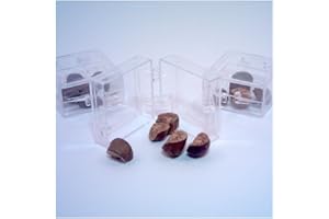 UNKNOWN 15 Crazy Real Live Magic Mexican Jumping Beans for Sale! (3 Cases of 5 Beans)