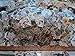 1000+ Used Worldwide Postage Stamps Off-paper Stamp International Stamp Collecting