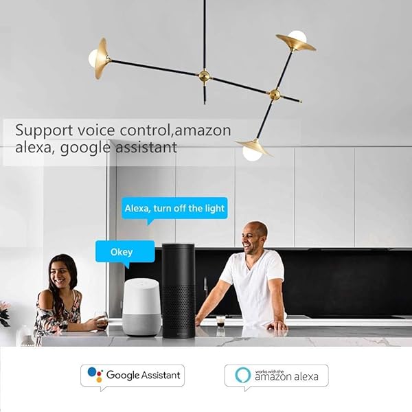 eMylo WiFi Interruptor De Rel Smart Light Switch Inalmbrico Control Remoto Interruptor Temporizadores de automatizacin del hogar Compatible con Alexa Echo Google Home Iphone Android App 1 paquete