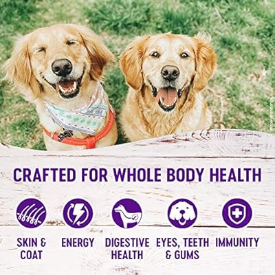 wellness complete health senior dog food