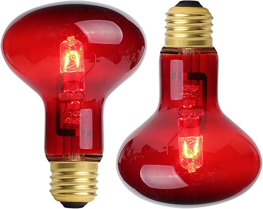 heat lamp bulb for bearded dragon