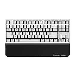 Hexgears X3 Wireless Mechanical Keyboard TKL 87
