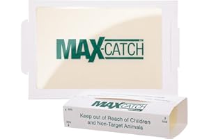 Catchmaster Max-Catch Mouse & Insect Glue Trap 72pk, Mouse Traps Indoor for Home, Sticky Pest Control Adhesive Tray for Catch