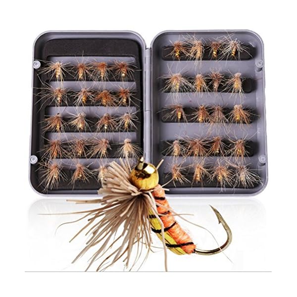 XUNMA-Fly-Fishing-Flies-40-Gold-headed-NYMPHS-with-Box-Especially-for-Trout