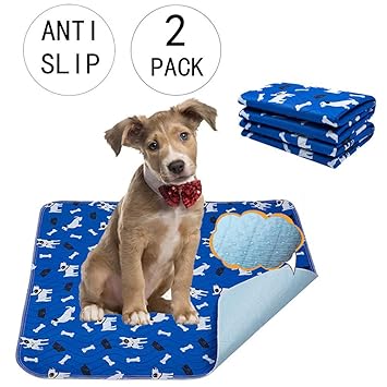 Tapis De Proprete Chien Enredada