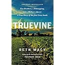 Truevine: Two Brothers, a Kidnapping, and a Mother's Quest: A True Story of the Jim Crow South