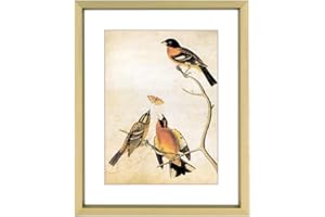 BKABOT 4x5 Picture Frame, Brass Aluminum Metal Photo Frames with HD Glass, Fits 3x4 with Mat or 4 x 5 without Mat, Display for Wall and Table