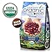 Subtle Earth Organic Coffee - Dark Roast - Whole Bean Coffee - 100% Arabica Beans - Low Acidity and Non-GMO - 5lb bag