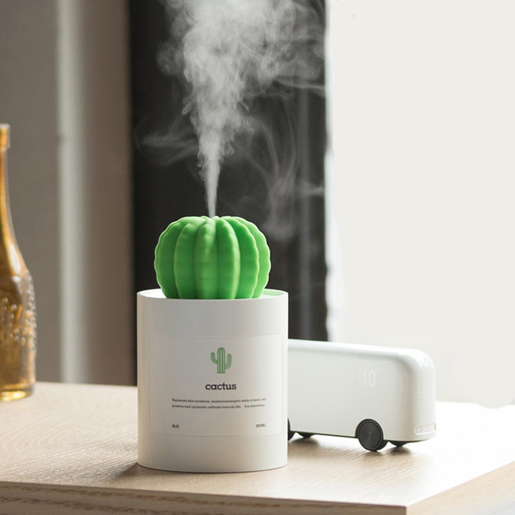 Mini Humidifier, 280ml USB Cool Mist Portable Cactus Air humidifier, Ultra-Quiet Operation for Bedroom Home Office Desk Yoga Car Travel(White)