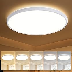 TALOYA 18 Inch Flush Mount Led Ceiling Light