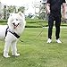Bondpaw Heavy Duty Dog Leash,Black Nylon Rope Dog Leads 6.6 feet Non Slip Leash with Handle for Pet Supplies