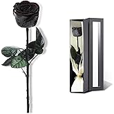 SofLiv Preserved Rose, Preserved Flowers for Delivery Prime, Single Rose Flower Gifts for Women, Real Rose Gifts for Her, Birthday Gifts, Valentines Flowers for Girlfriend - Black
