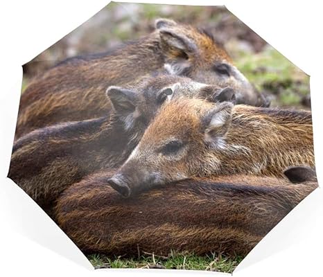 Amazon 日傘 折りたたみ 折り畳み傘 耐久性 折りたたみ傘 8本骨 トラベルアウトドア傘 イノシシヤンググラス嘘バスク 撥水防雨防風 晴雨兼用 軽量 高密度 持ち運びに便利 Crosderek 傘 レインウェア 通販