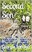 Second Son: Fannin County Brides (Fannin County Texas Book 3) by 