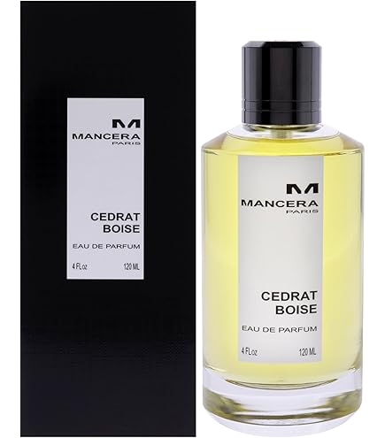 CASAMORATI DAL 1888 Xerjoff Mefisto Men's Eau de Parfum Spray, 3.4
