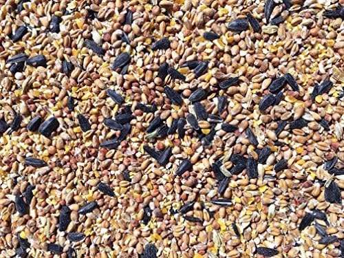 Wild Bird Food 25kg
