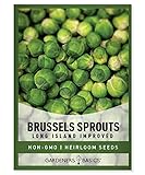 Gardeners Basics, Brussels Sprouts Seeds for