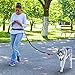 2D LOGISTIC Hands Free Dog Leash for Running & Walking - Two Pouches. Premium Retractable Reflective Bungee Leash, Medium and Large Dogs