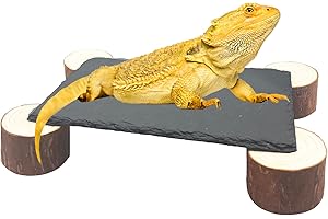GXSDJ Bearded Dragon Basking Platform with Wooden Pile,Reptiles Hideout Cave,Turtle Basking Rock,Terrarium Habitat Decor Tank Accessories for Tortoise Lizards Snakes Chameleon Style D