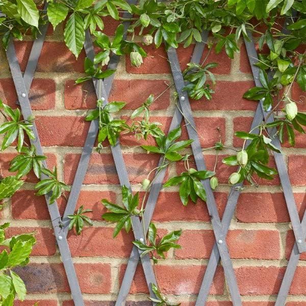 Garden Mile Grey Wooden Trellis 180x90cm Heavy Duty Climbing Plant Support Panel
