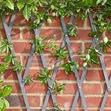 Garden Mile Grey Wooden Trellis 180x90cm Heavy Duty Climbing Plant Support Panel