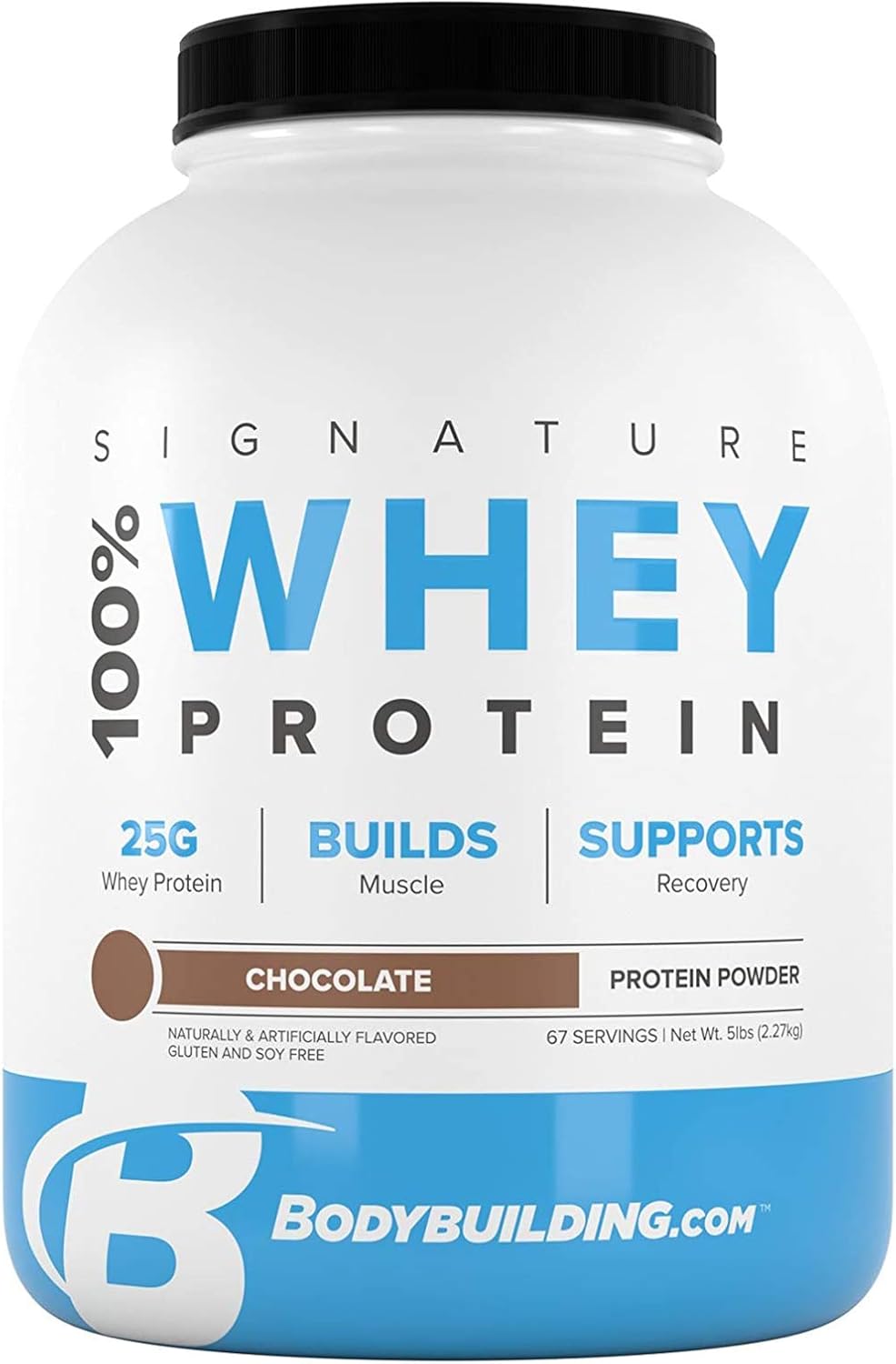 Whey Protein Powder 